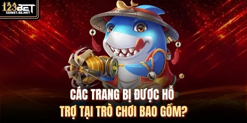 Các trang bị được hỗ trợ tại trò chơi bao gồm?