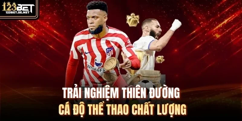 Trải nghiệm thiên đường cá độ thể thao chất lượng